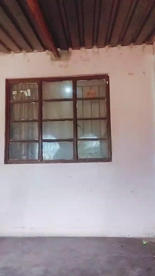 TikTok video thumbnail by cloetemaid
