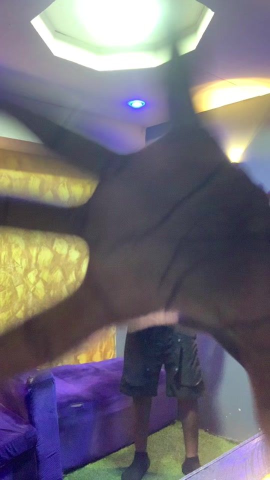 TikTok video thumbnail by le.grimm6