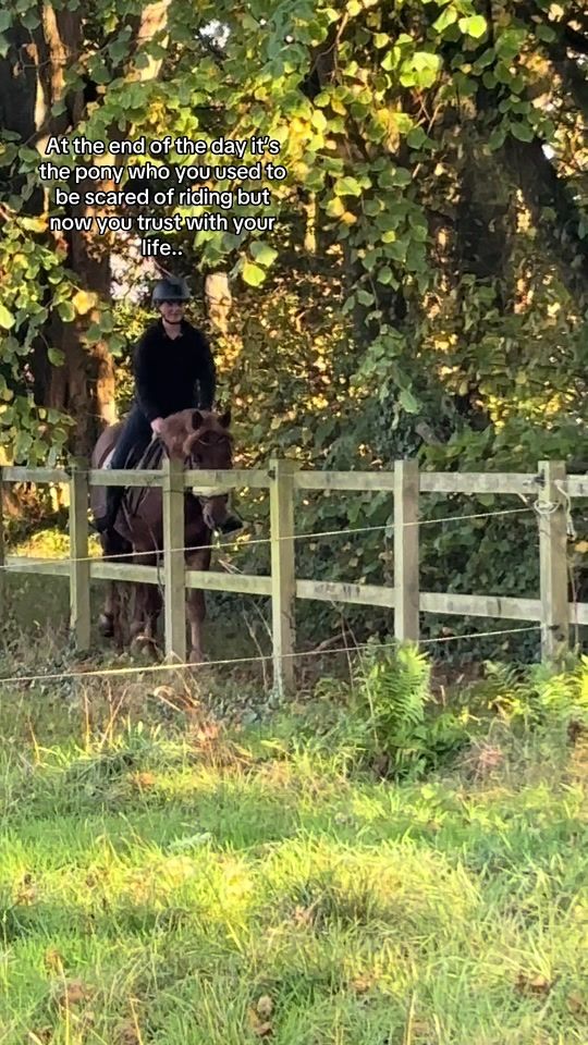 TikTok video thumbnail by jess_equine17