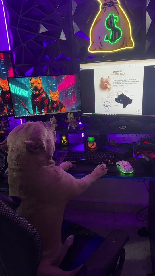 TikTok video thumbnail by vikingo606