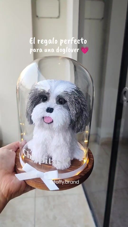 TikTok video thumbnail by toffy.brand