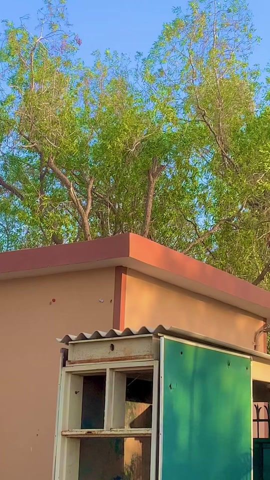 TikTok video thumbnail by aziz.sindhi110