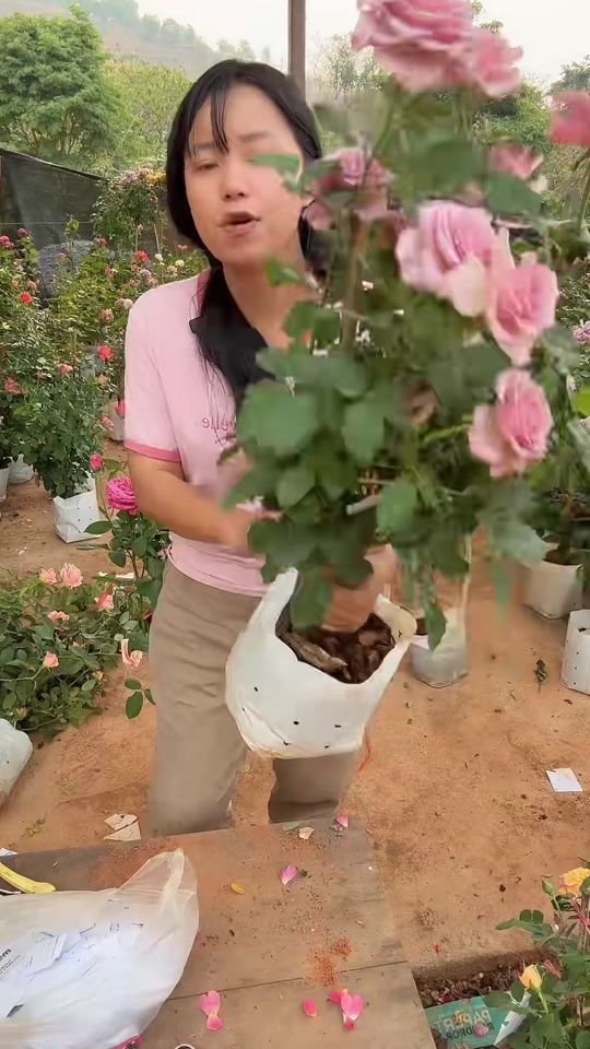 TikTok video thumbnail by tang_patcharee