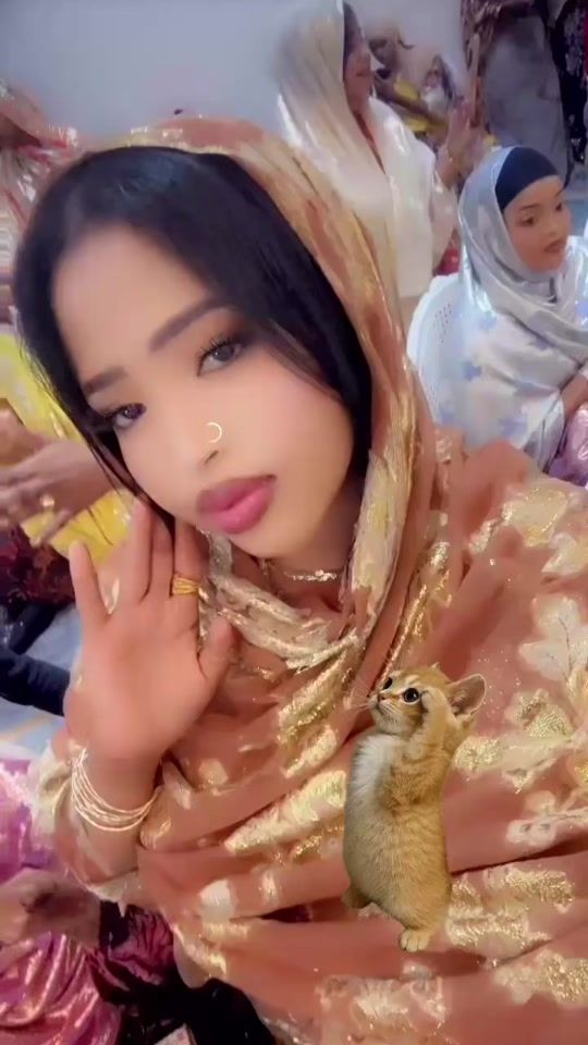 TikTok video thumbnail by abyaney5
