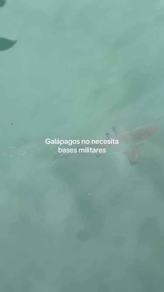TikTok video thumbnail by heidytahis
