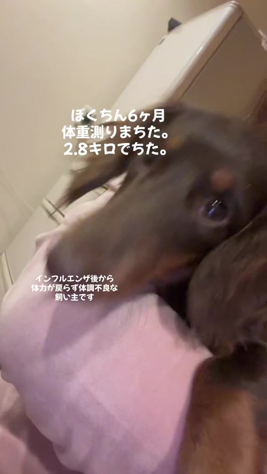 TikTok video thumbnail by yuiyui110413