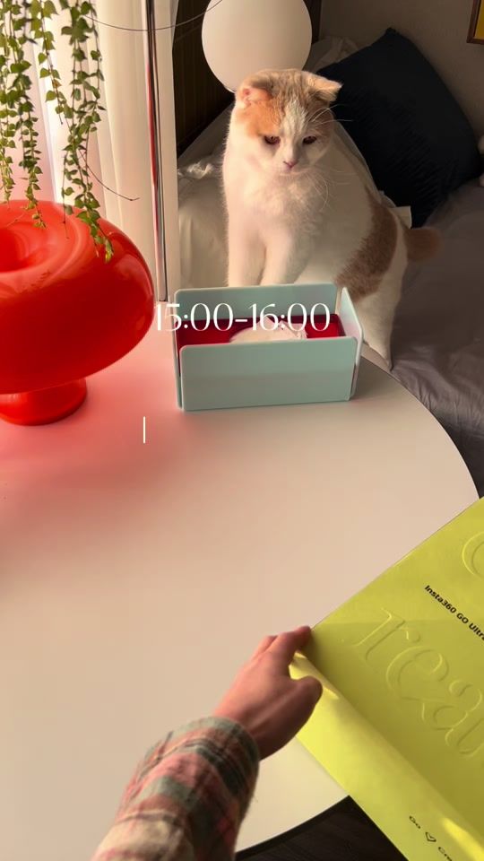 TikTok video thumbnail by iammumemi
