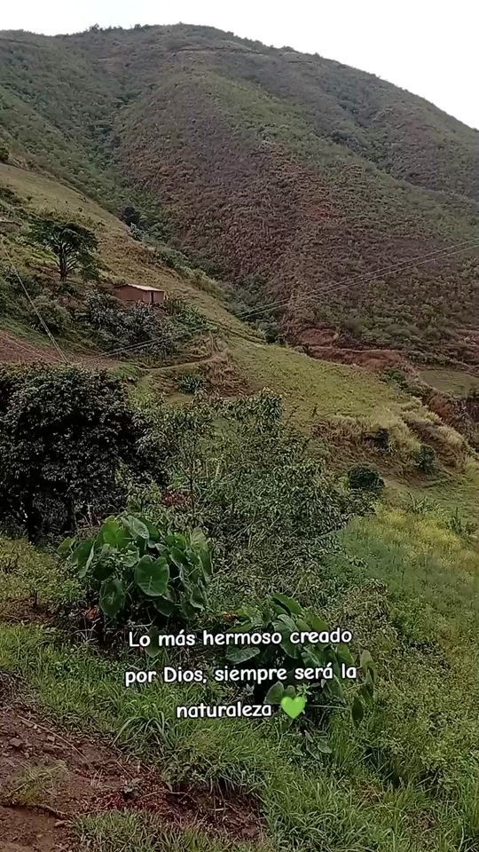 TikTok video thumbnail by vperdomo2000
