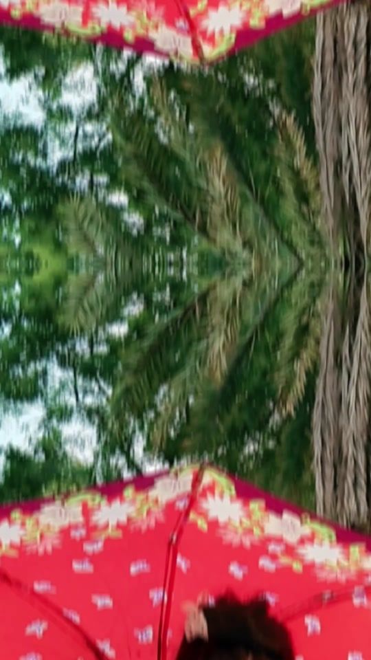 TikTok video thumbnail by swarnaliroy06
