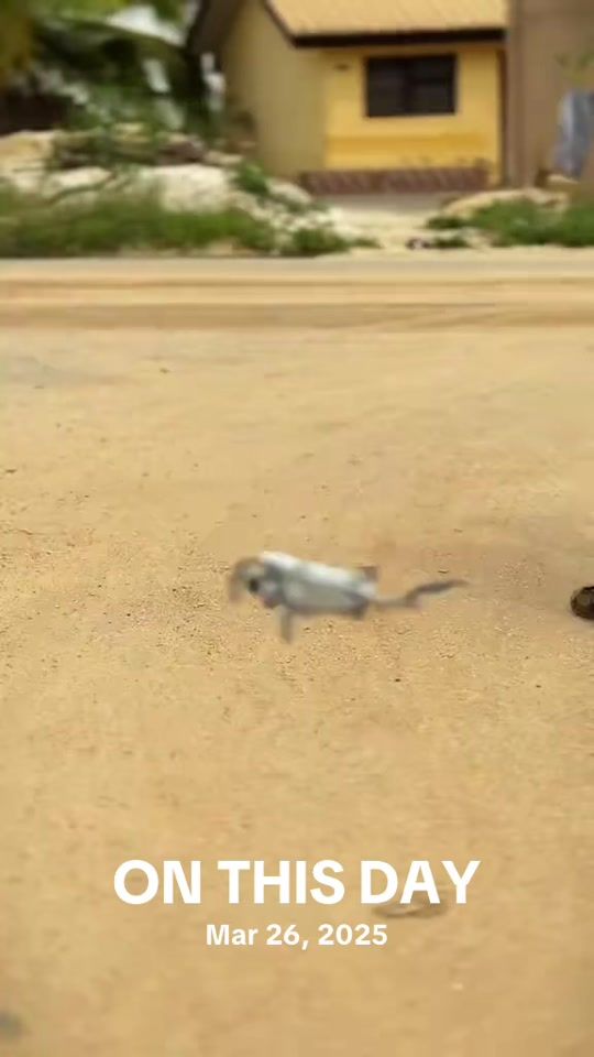 TikTok video thumbnail by cornelmediaproductions