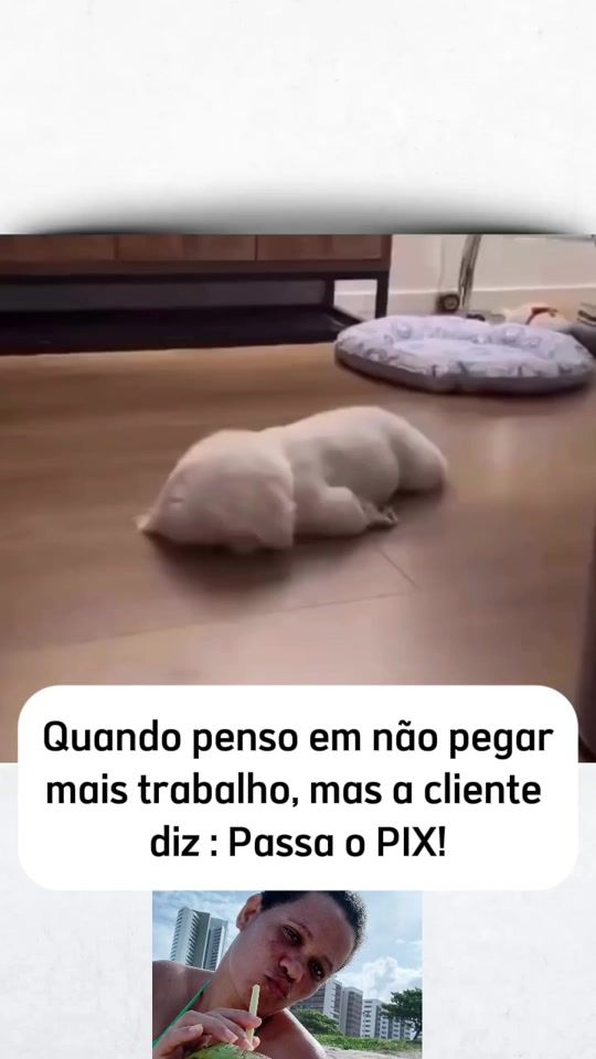 TikTok video thumbnail by carlamaria7546