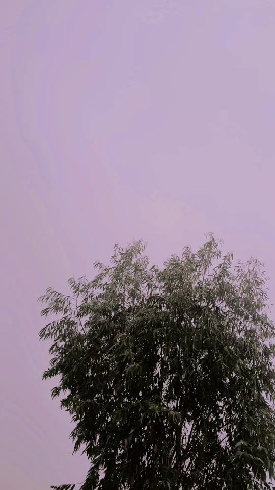 TikTok video thumbnail by dexent_rajpoot_07