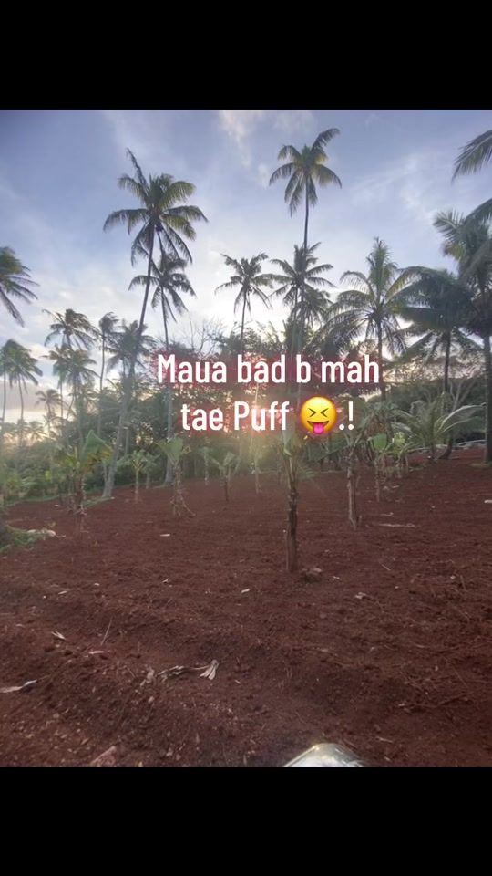 TikTok video thumbnail by ton.ass