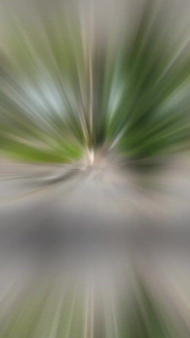 TikTok video thumbnail by feneligomez