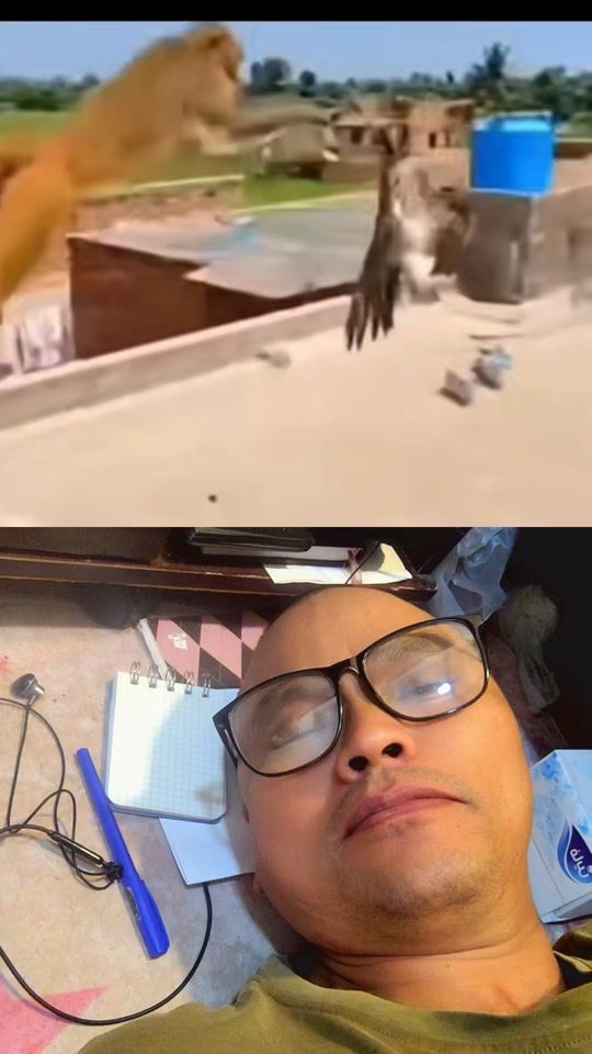 TikTok video thumbnail by xantyal.tb