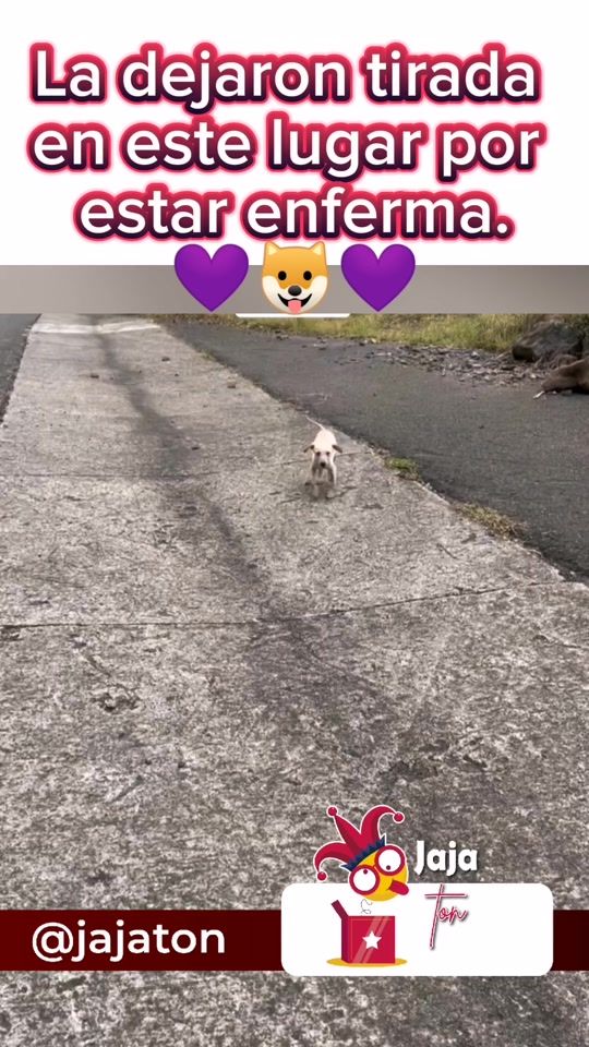 TikTok video thumbnail by jajaton1