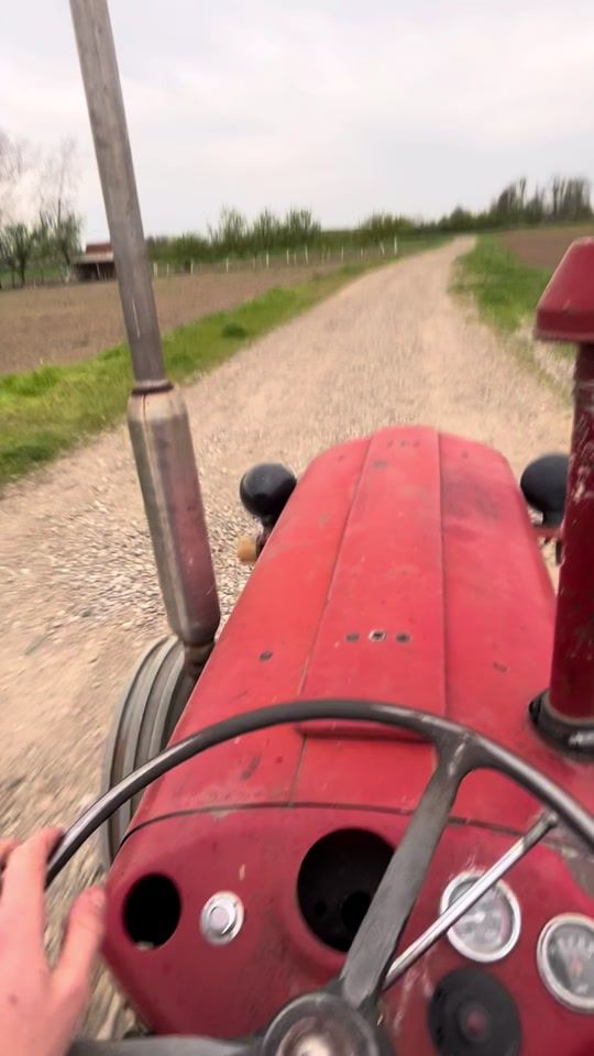 TikTok video thumbnail by uros_srb_