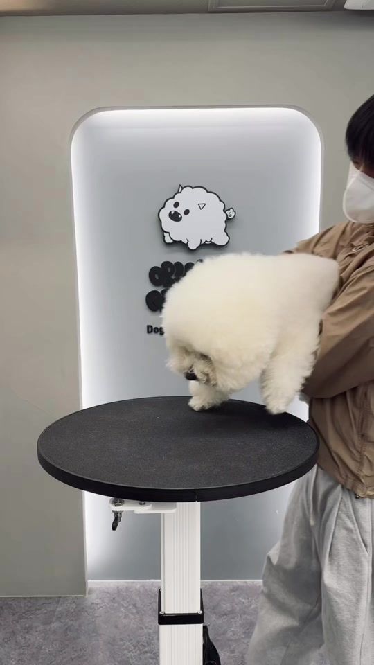 TikTok video thumbnail by silver_taek