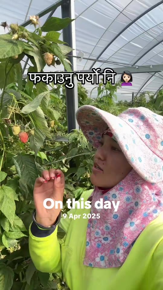 TikTok video thumbnail by moichang28