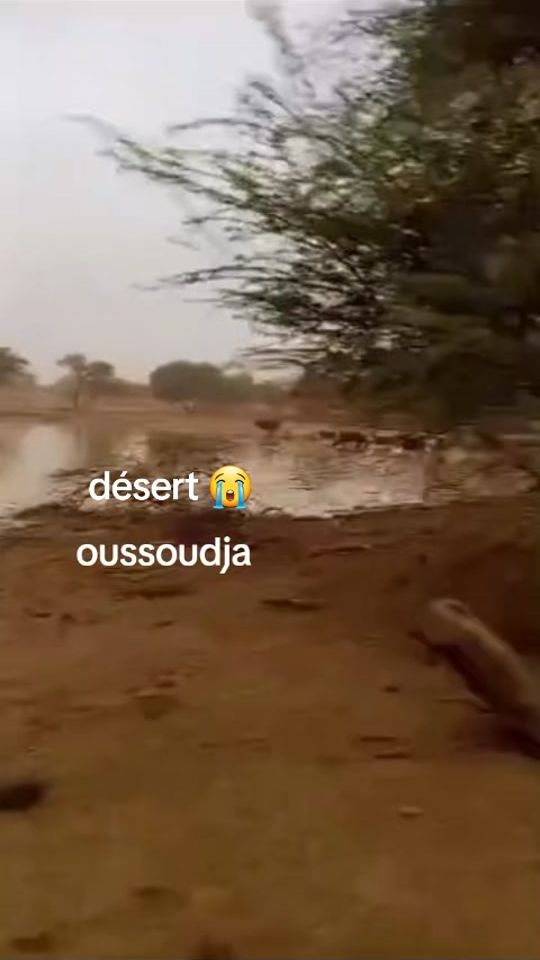 TikTok video thumbnail by nationall4