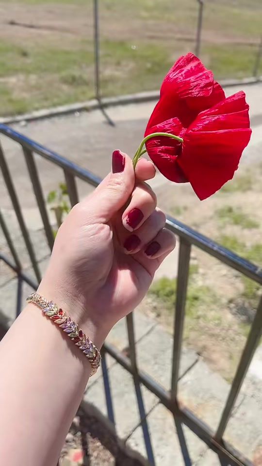 TikTok video thumbnail by shawbo_hassan