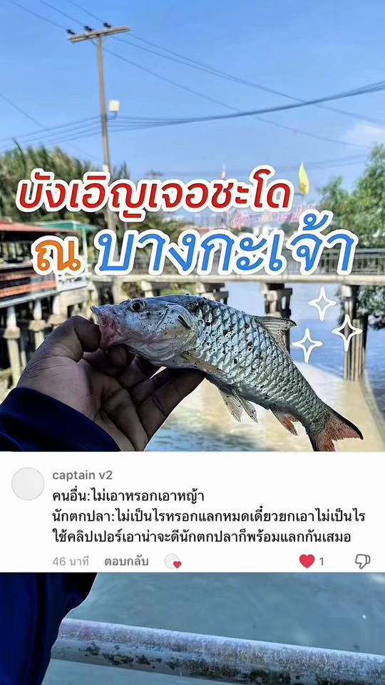 TikTok video thumbnail by sleepless_ch