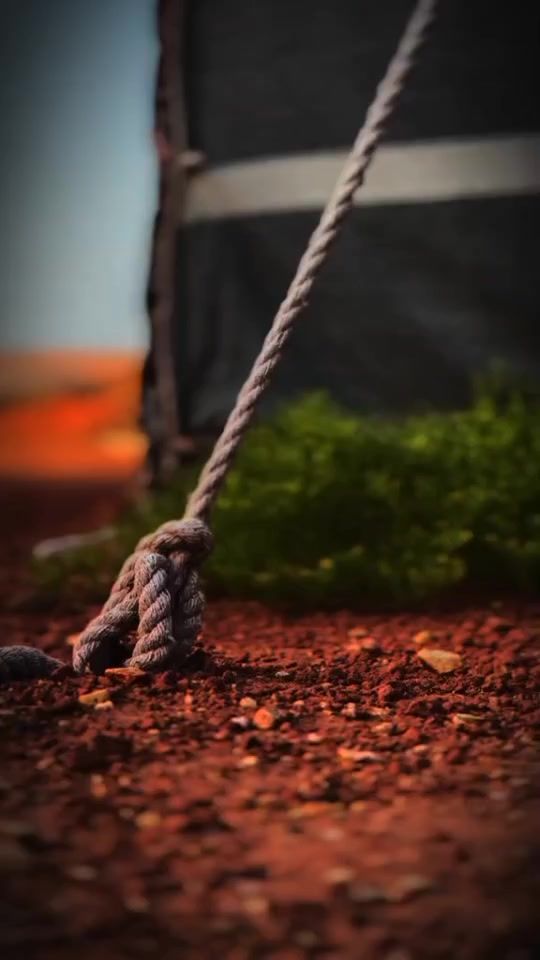 TikTok video thumbnail by m_m_mms15