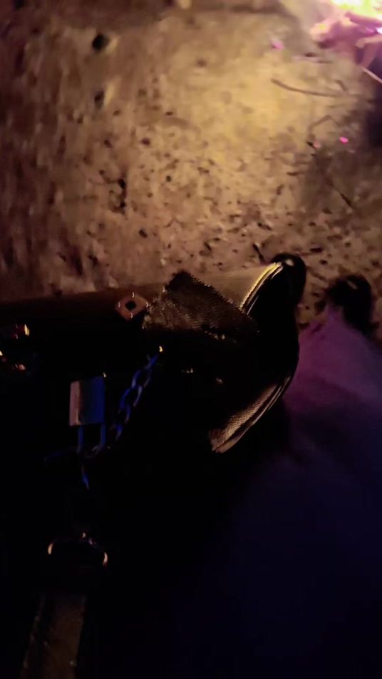 TikTok video thumbnail by fatimazhraamrani