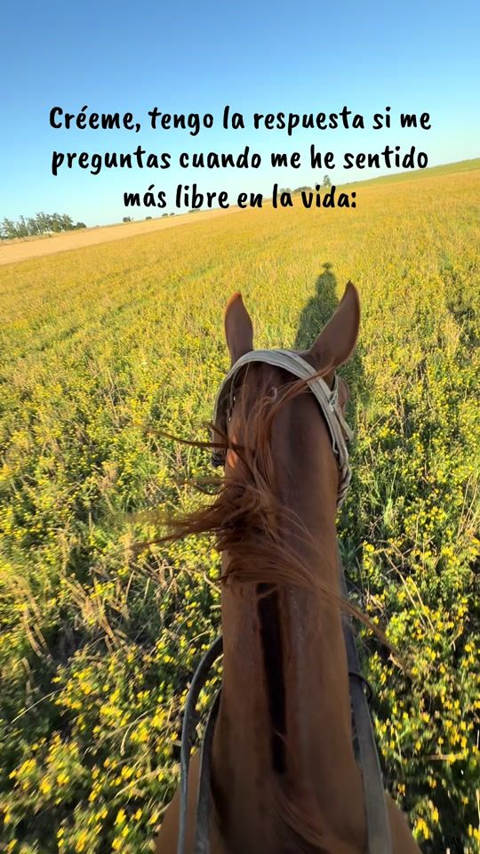 TikTok video thumbnail by soledadbeker