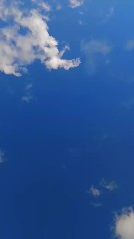 TikTok video thumbnail by jamuna575