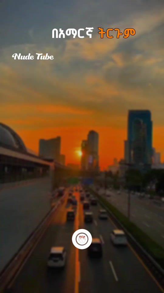 TikTok video thumbnail by selte_music_lyrics