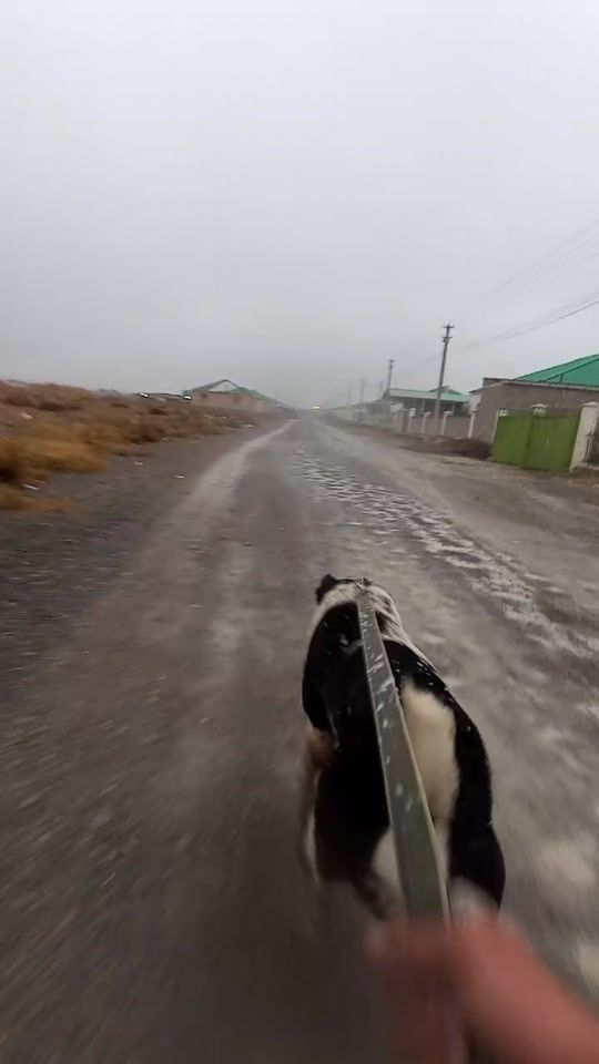 TikTok video thumbnail by tmalabay1994