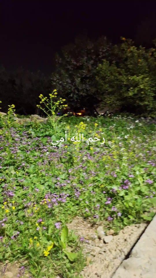 TikTok video thumbnail by _jordan523
