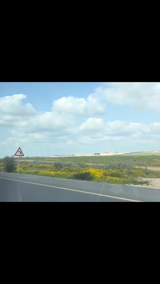 TikTok video thumbnail by wasaif353