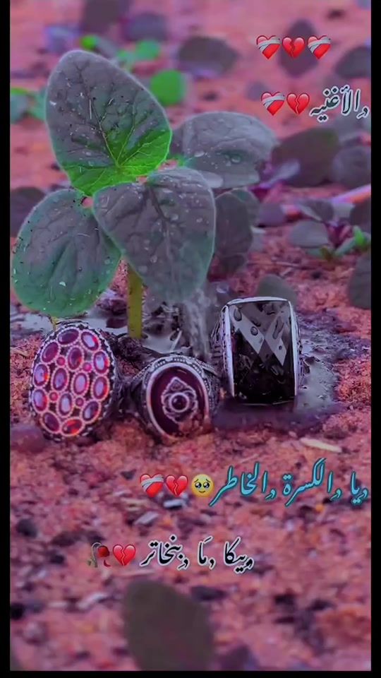 TikTok video thumbnail by djarnebi.fils