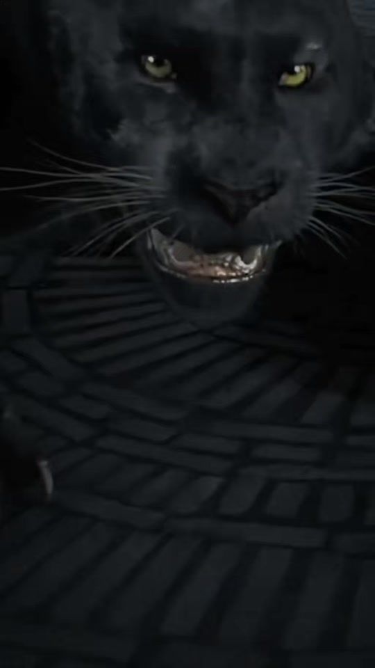 TikTok video thumbnail by gazdasvoj