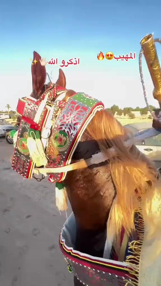 TikTok video thumbnail by abdo_halfaya2