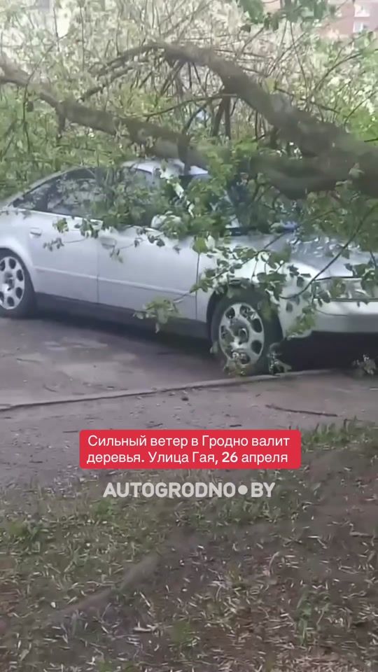 TikTok video thumbnail by autogrodno