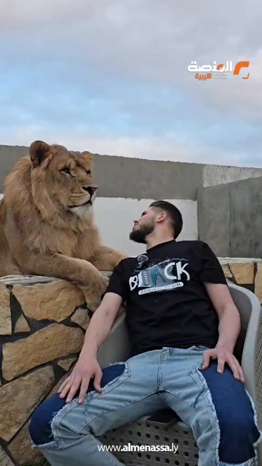 TikTok video thumbnail by abdoalsafra1