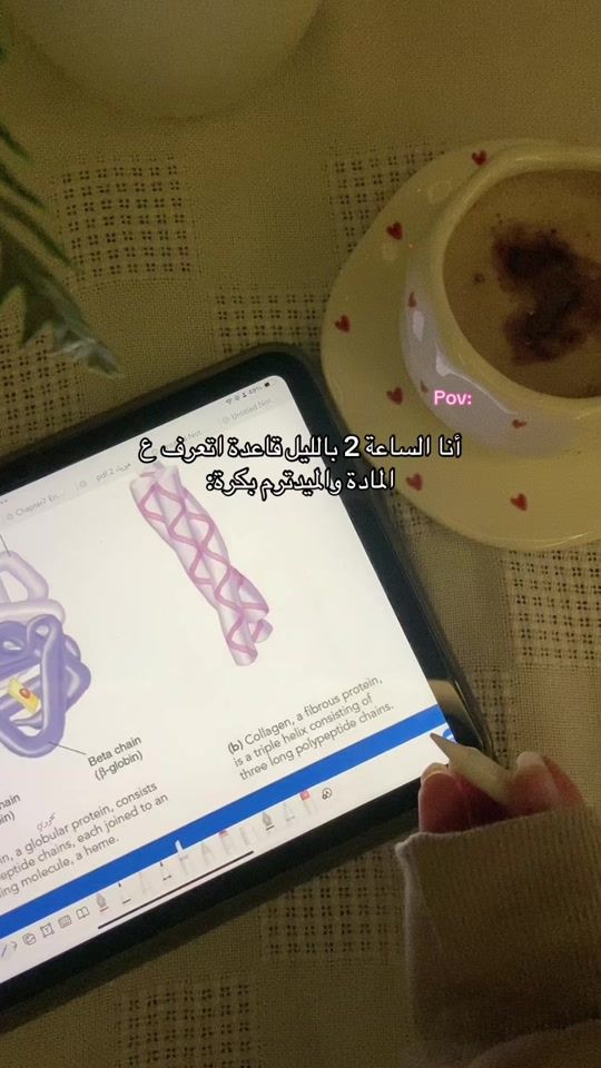 TikTok video thumbnail by nourqasim200
