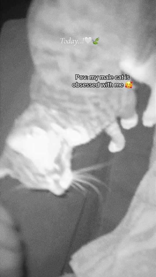 TikTok video thumbnail by lawramarijuana