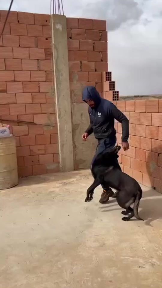 TikTok video thumbnail by benauda_bes