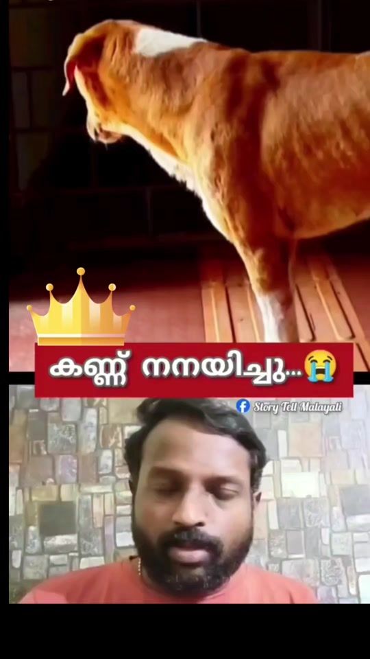 TikTok video thumbnail by mujeebkv533