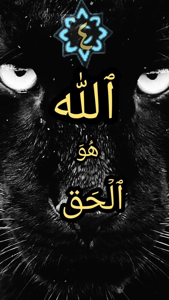 TikTok video thumbnail by munther2707