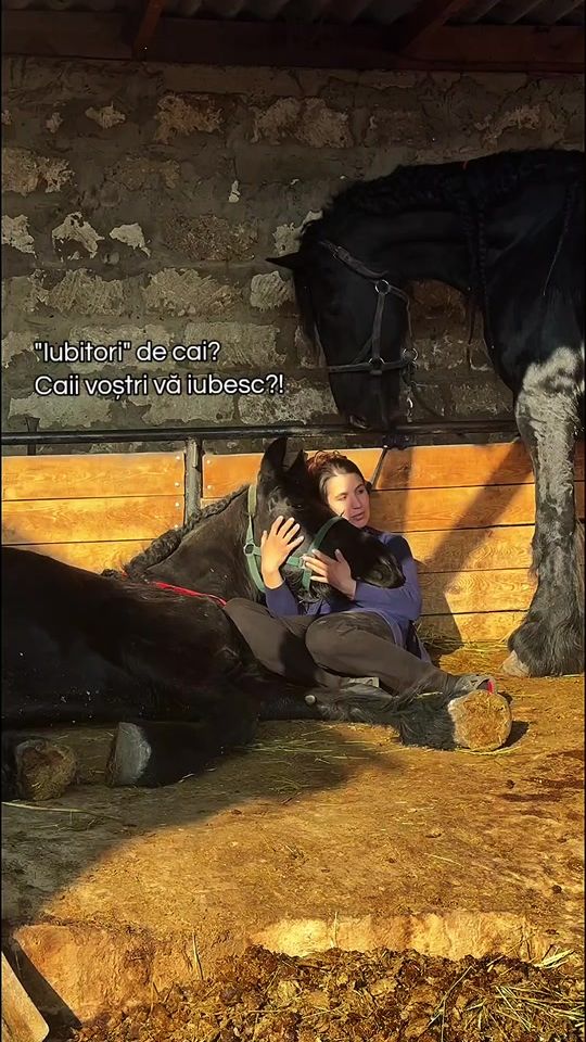 TikTok video thumbnail by cristina_grinciuc