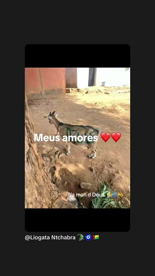 TikTok video thumbnail by marcadia___