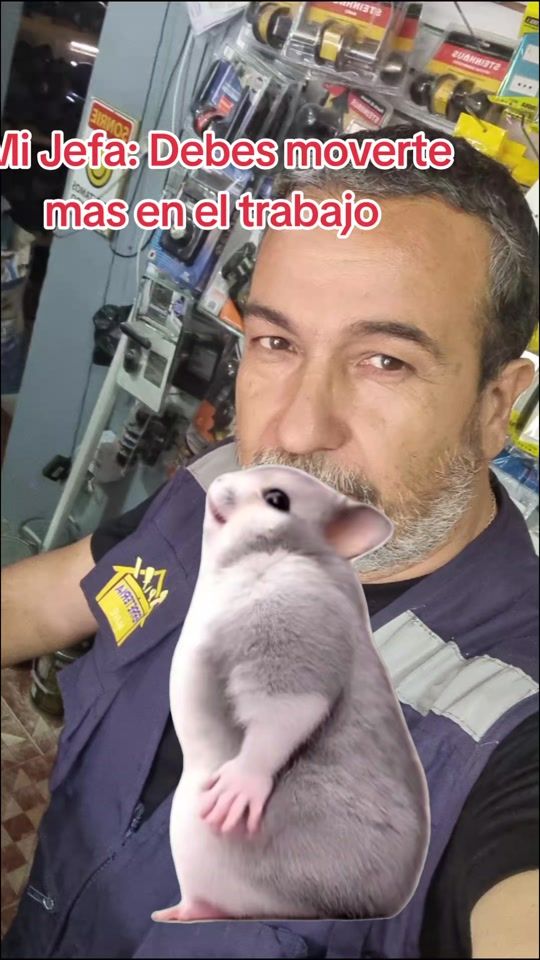 TikTok video thumbnail by sergio.letelier