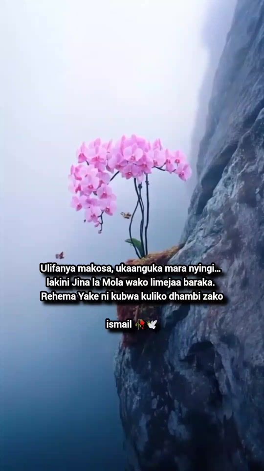 TikTok video thumbnail by ismailmohd249