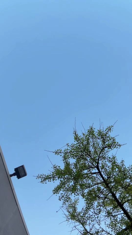 TikTok video thumbnail by islam_momoo