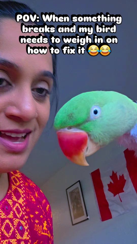 TikTok video thumbnail by sucrinhachhatry
